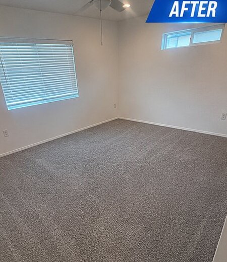 Professionally cleaned carpet after hot water extraction
