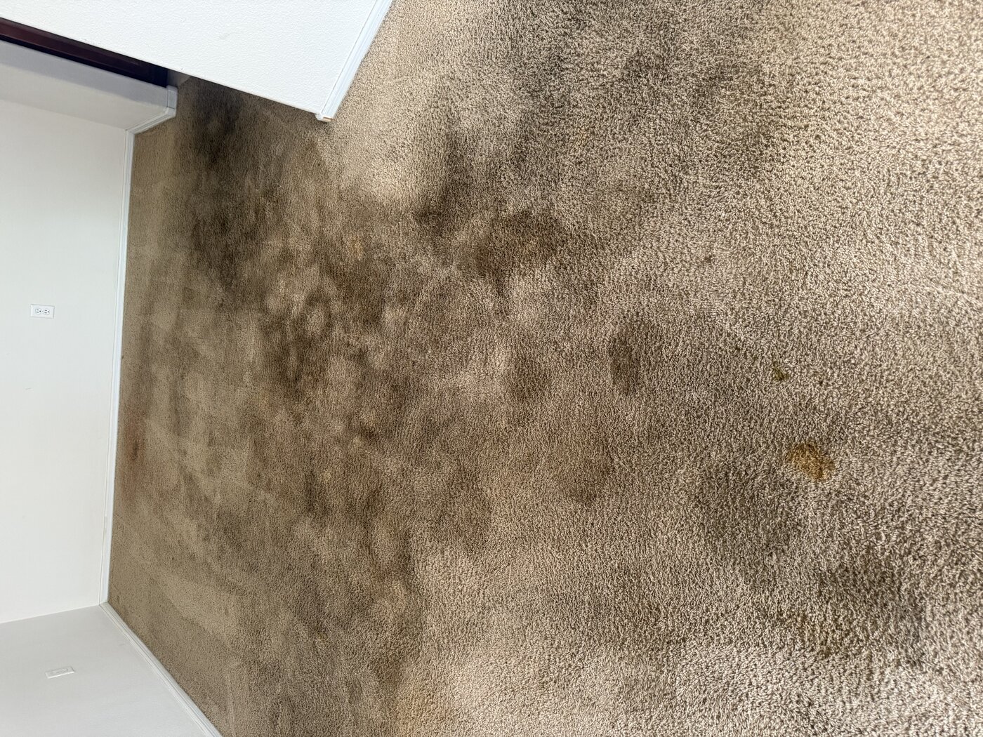 heavily soiled carpet before professional cleaning