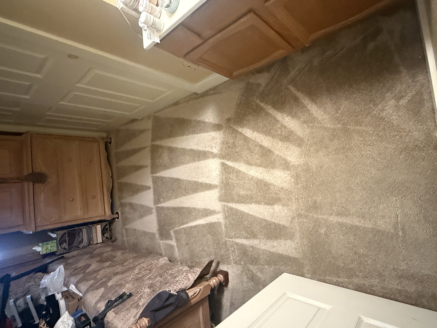Professional carpet cleaning in Houston, TX